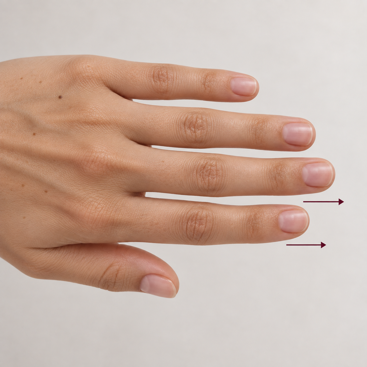 The back of a hand seen from above, the angle that shows the full length of each nail bed