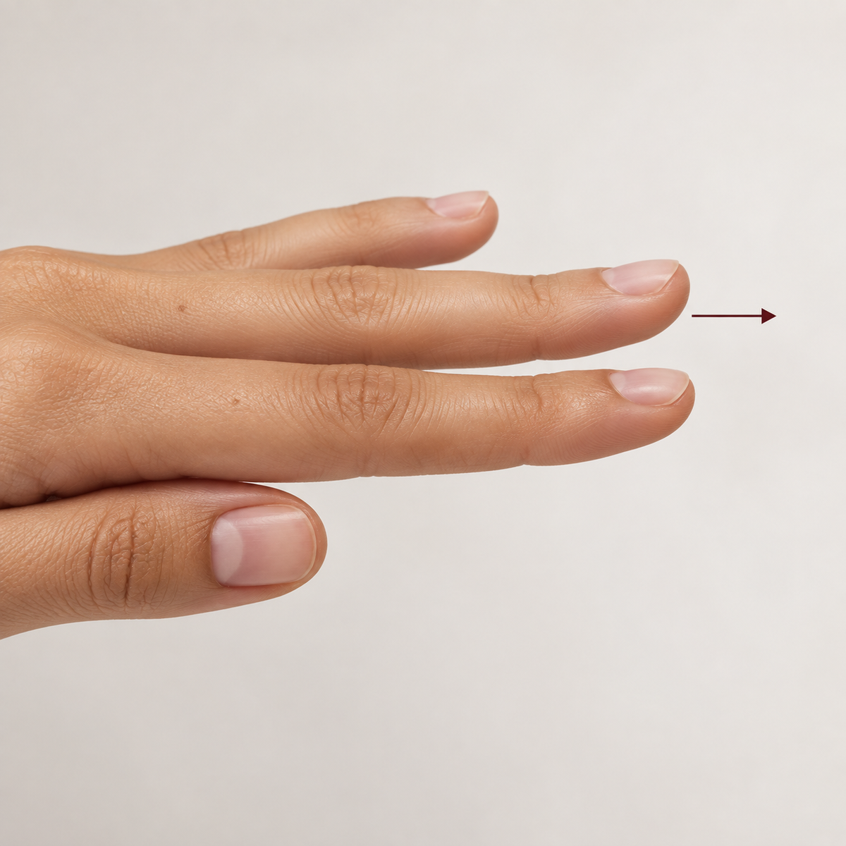 Fingers seen from the side, the angle that reveals the apex and profile curve of the natural nail